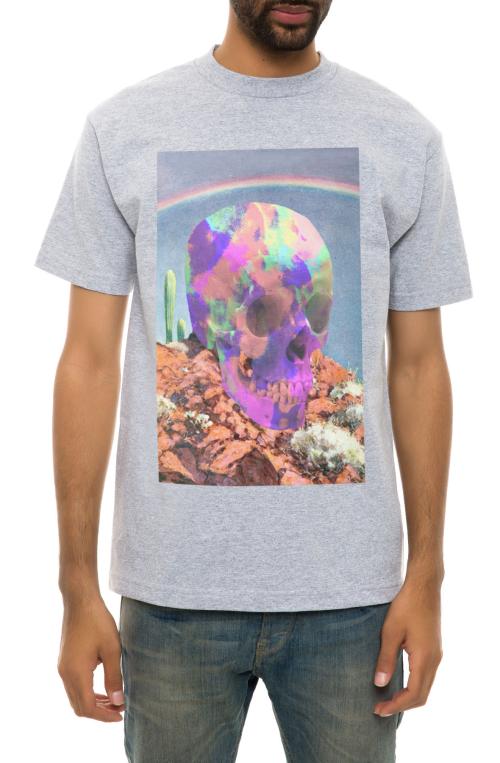 The Life in the Desert Tee in Heather Grey