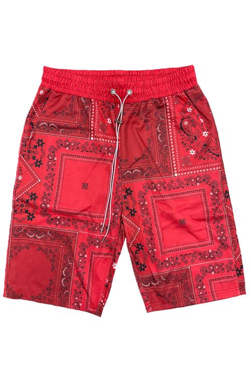 Paisley All Over Print Shorts
