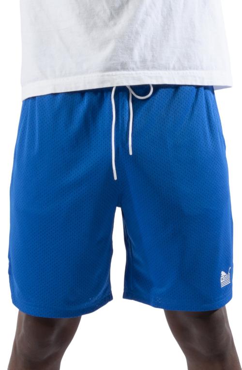Everyday Hussle Mesh Shorts