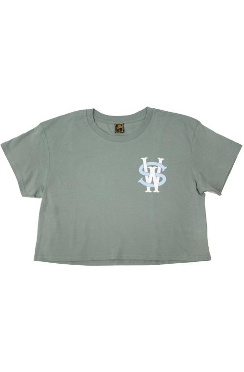 Stay Winning Sage/Icy Blue Crop Top Tee