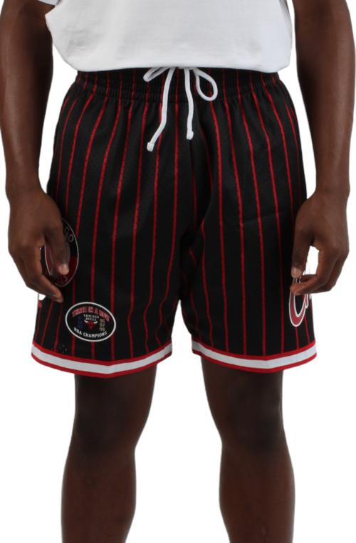 Chicago Bulls City Collection Shorts