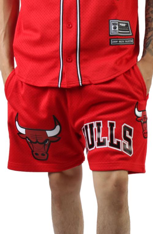 Chicago Bulls Logo Pro Team Mesh Shorts