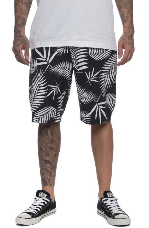 The Nebula Shorts in Black & White