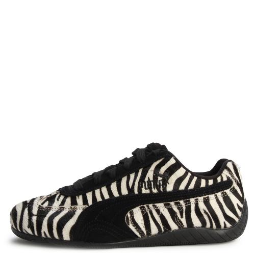 Easy Rider Zebra