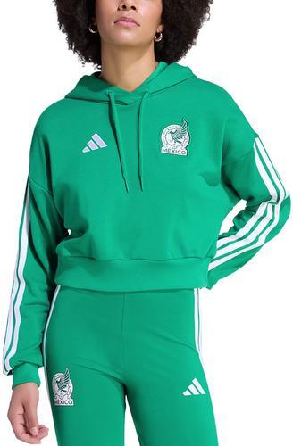 Mexico DNA Hoodie